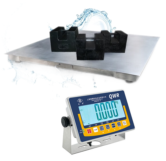 SCS-W(SSQWR)-304不锈钢电子地上衡