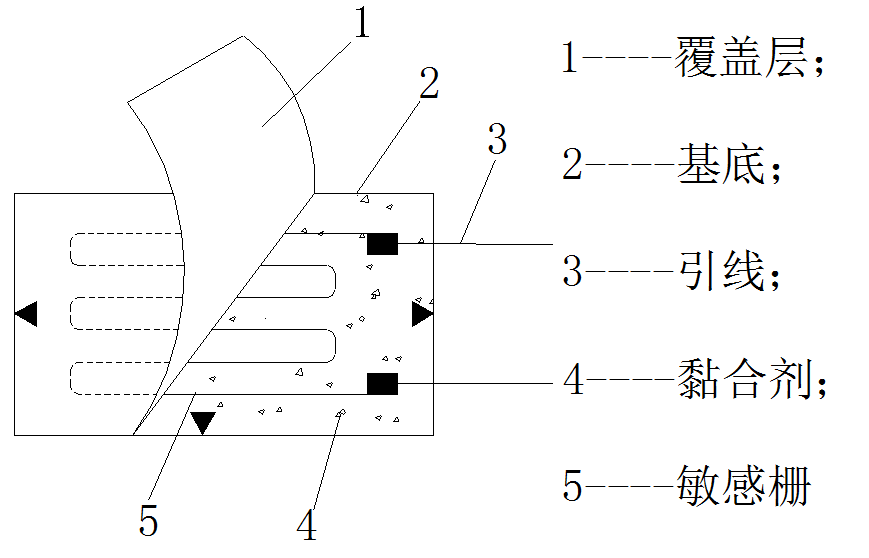 应变片2